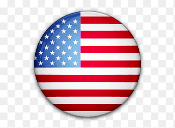 Flag 1