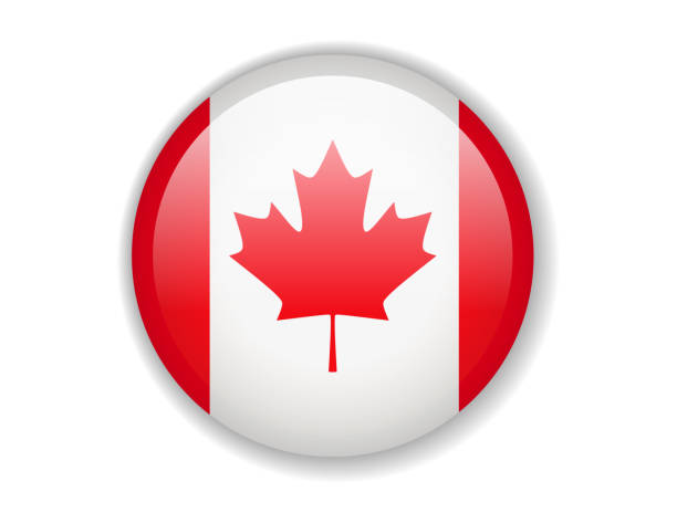 Flag 3